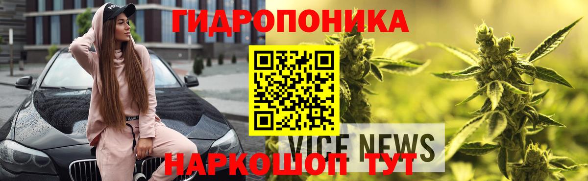 Шишки марихуана тримм  МАРИХУАНА Bruce Banner  Конопля SATIVA & INDICA  Вход с VPN  Ейск  Бошки Шишки индика 